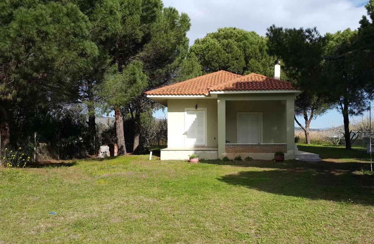 Villa Sunny Day Marathon  Exterior photo