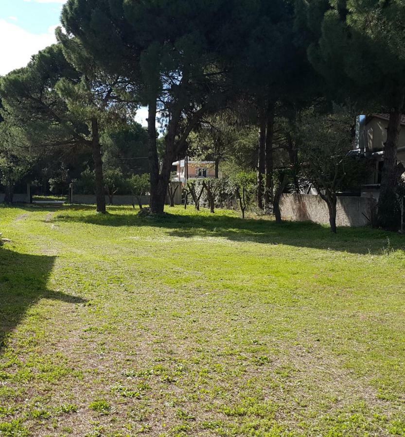 Villa Sunny Day Marathon  Exterior photo